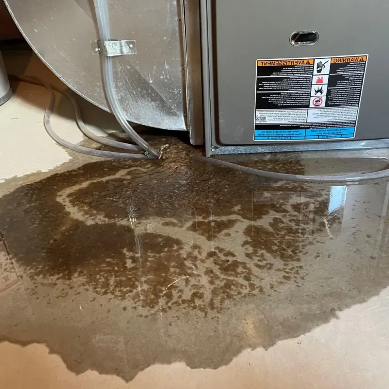 Pipe Burst and Leak Restoration in New Haven, CT